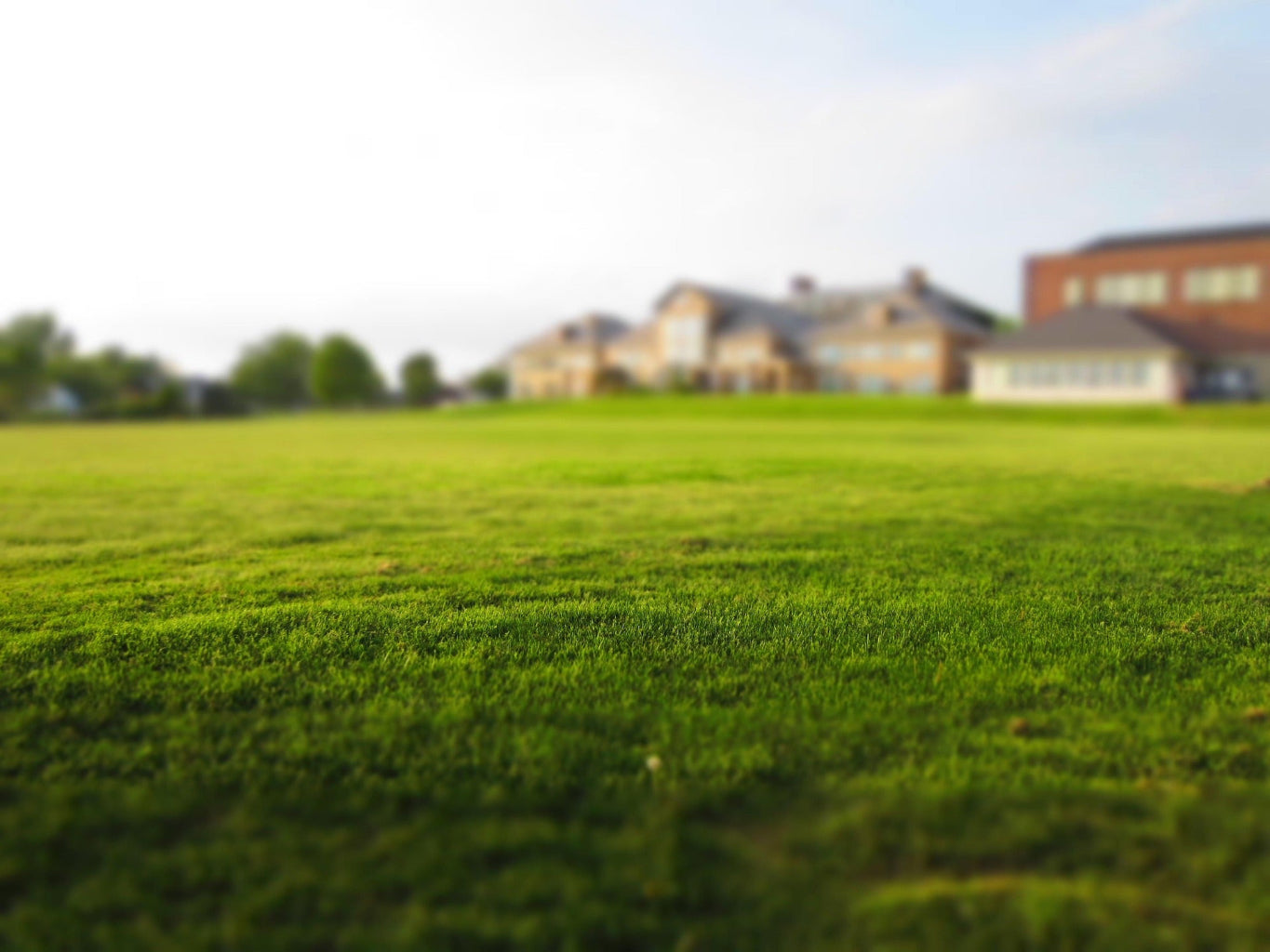 Same-Day Mowing Service (.51 - 2 Acres)